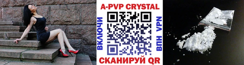 А ПВП СК КРИС  гидра   Александров 