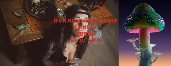 СК Абдулино