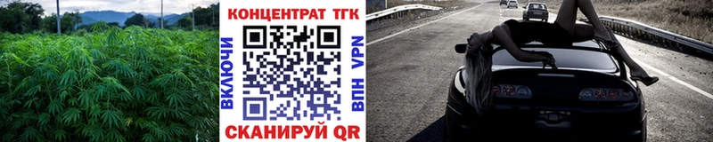 ТГК Wax  что такое   гидра ссылки  darknet Telegram  Александров 